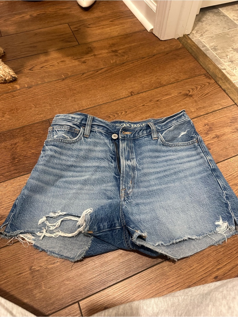 American Eagle Outfitters Light Blue Distressed Denim Shorts